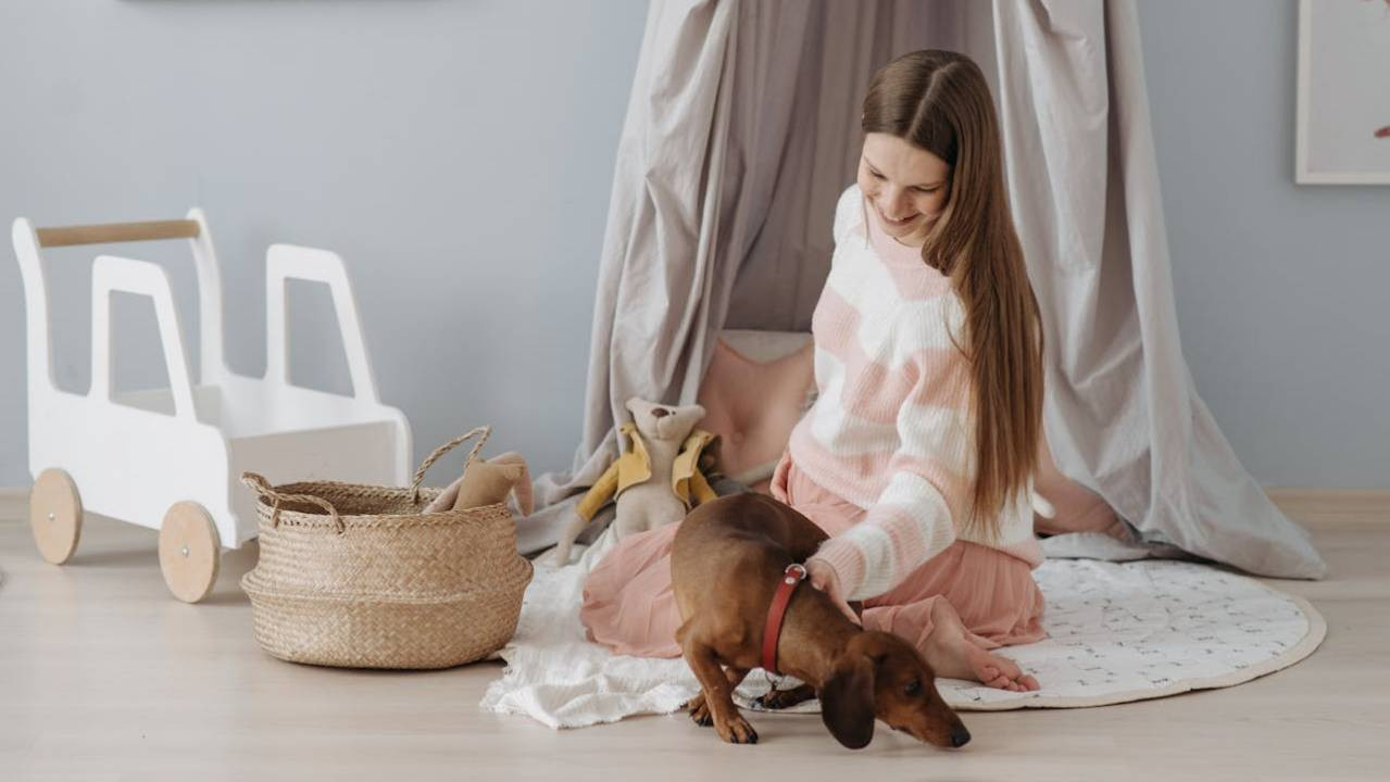 Can An HOA Ban Pets? Understanding Your Rights In California