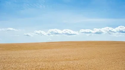 Land Use Regulations: A Guide for California Property Owners